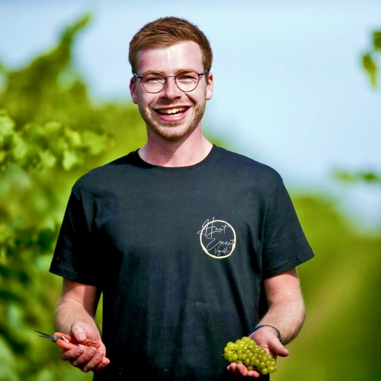 Antoine travaillant dans les vignes